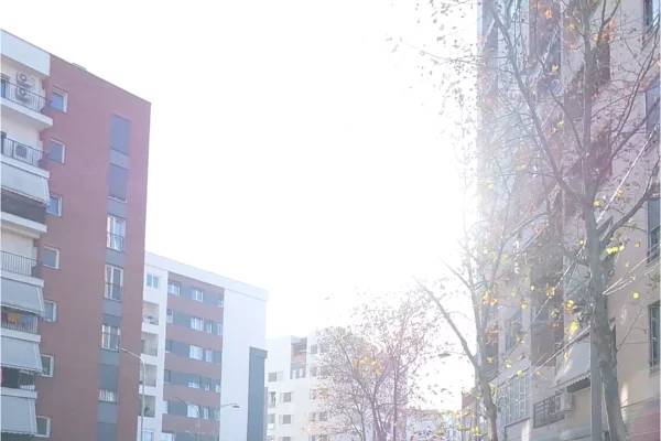 Ali Demi Shitet Apartament 1+1 