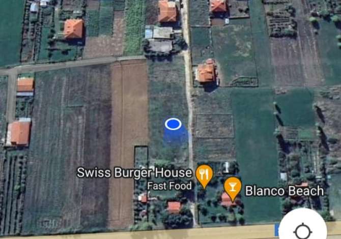 Shitet Toke 600 m2 Rruges se Tushemishtit