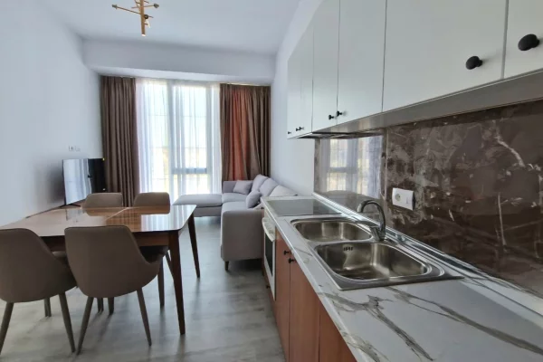 House for Rent 1+1 in Tirana - 46,000 Leke