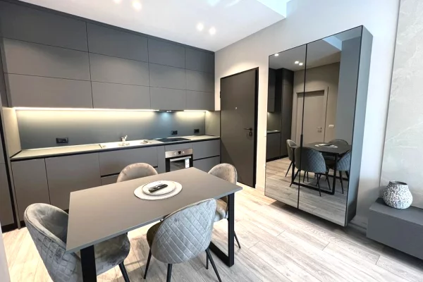 Shtepi me qera Apartament ne Tirane, 1+1, Mobilimi E mobiluar, Pagesa 850  Euro.