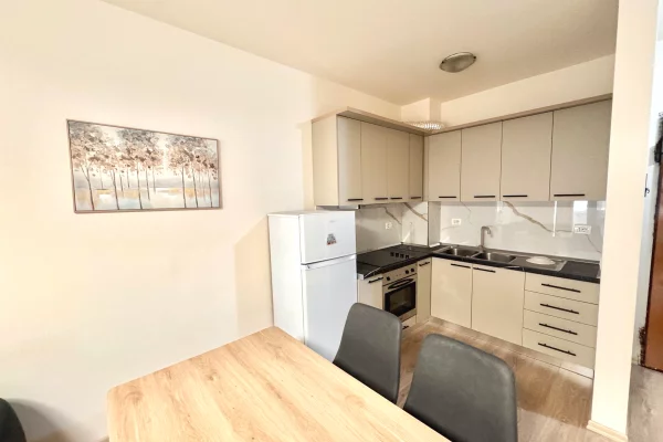 Shtepi me qera Apartament ne Tirane, 1+1, Mobilimi E mobiluar, Pagesa 60,000  Leke.