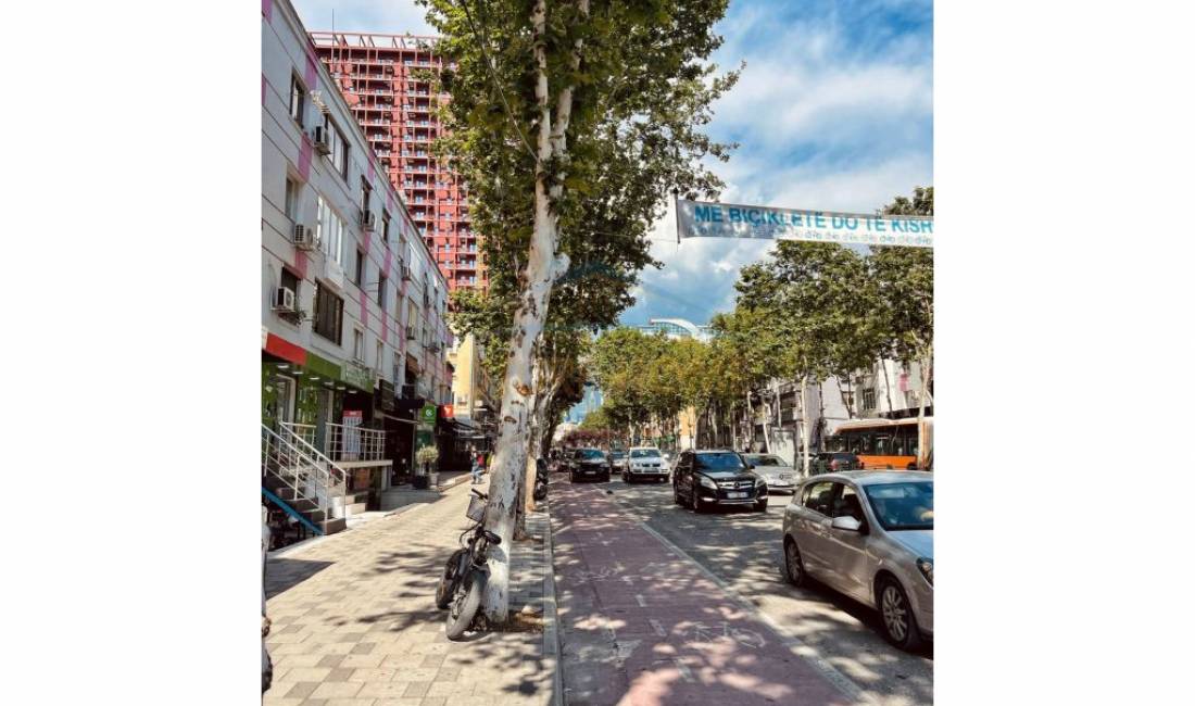 Shitet, Ambient Biznesi Buz Rruge, Rruga E Kavajes, Tirane