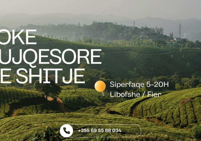 TOKE BUJQESORE NE SHITJE NE FIER / LIBOFSHE