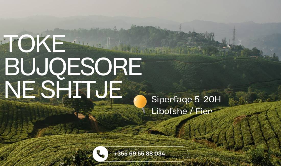 TOKE BUJQESORE NE SHITJE NE FIER / LIBOFSHE