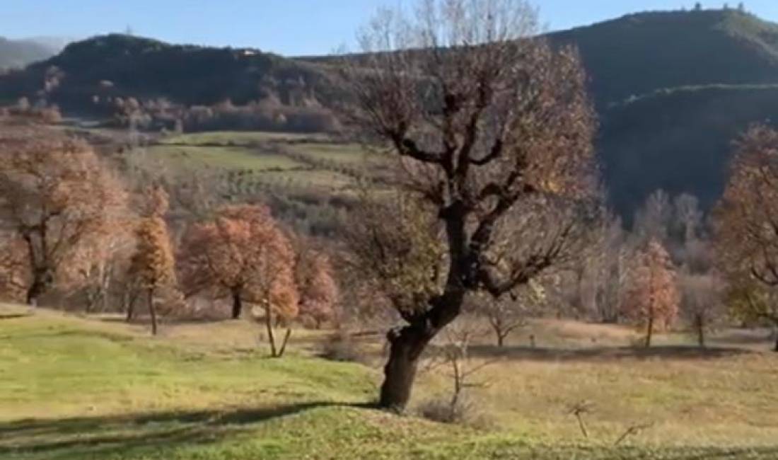 Shitet toke ne Shish-Tufine  40e/m2