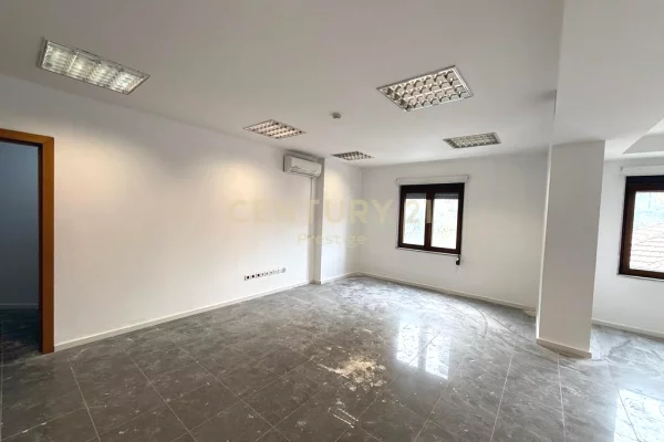Ambient biznesi me qera 3+1 ne Tirane - 3,000 Euro