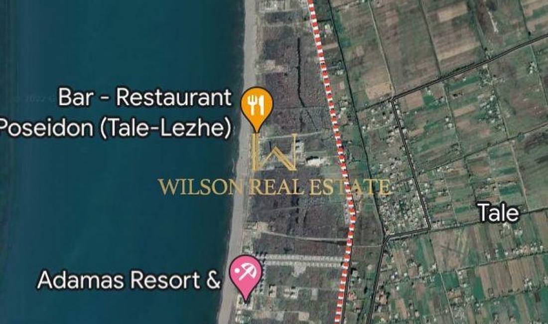 Shitet toke ne Tale, Lezhe 