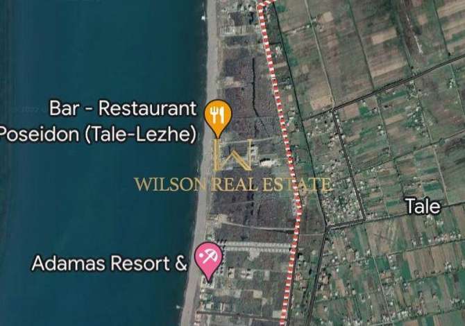 Truall ose Toke ne Lezhe - 10,000 Euro