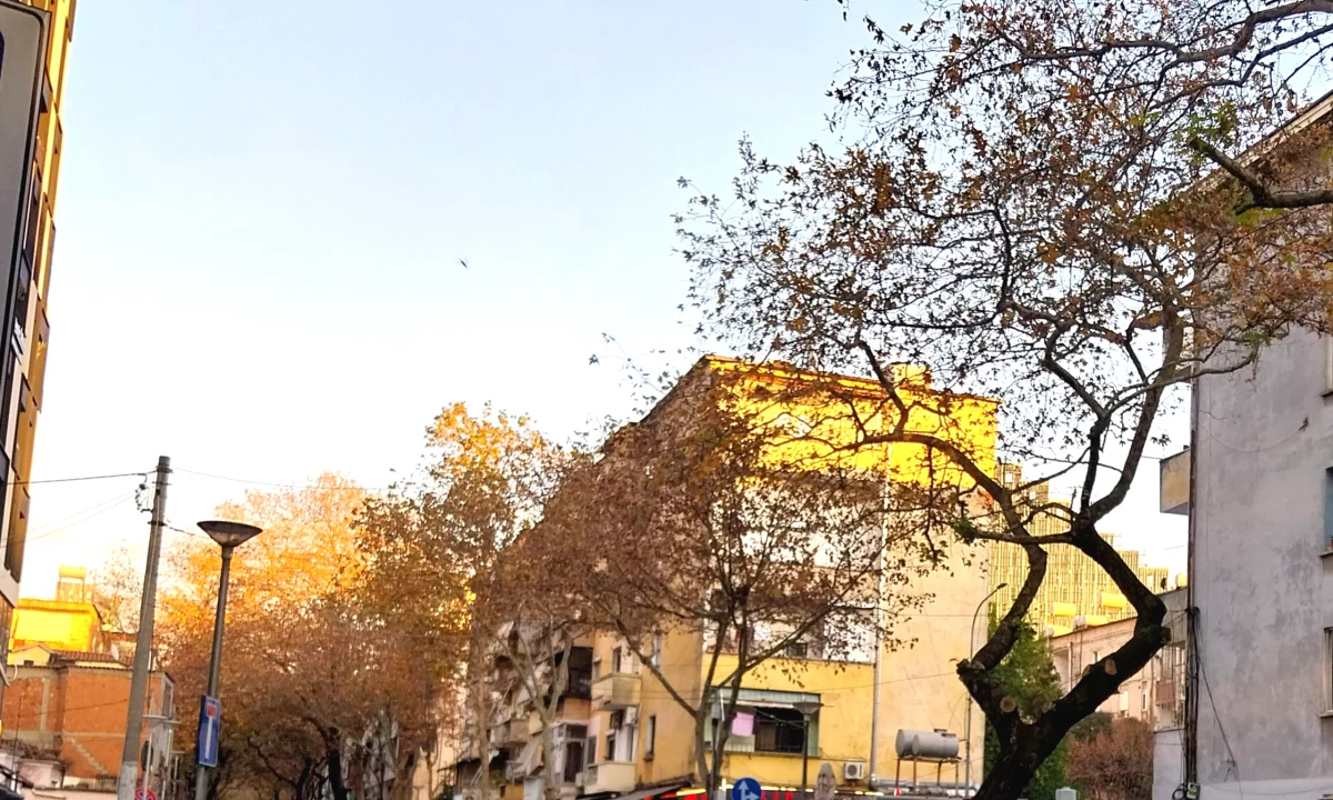 Apartment for rent in Tirana 1+1, Furnished