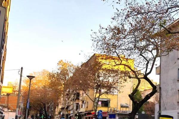 ME QERA MINI APART/GAZONIERE, MOBILUAR, PALL RI ASHENS. ZONA QËNDËR, RR S.FRASHËRI/M.SHYRRI PRANË MULLIRIT TË VJETËR📍TIRANË.