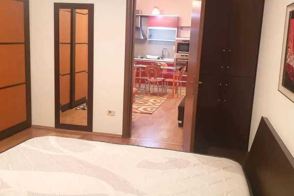 Apartment for rent in Tirana 1+1, Furnished