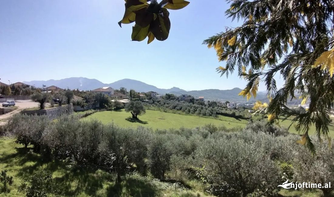 Shitet Toka 1400m2 ne Lunder