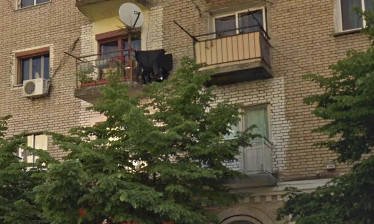 Shtepi me qera Apartament ne Tirane, 1+1, Mobilimi E mobiluar, Pagesa 55,000  Leke.