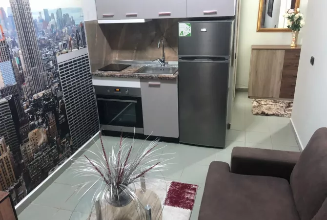 Shtepi me qera Apartament ne Tirane, 1+1, Mobilimi E mobiluar, Pagesa 500  Euro.