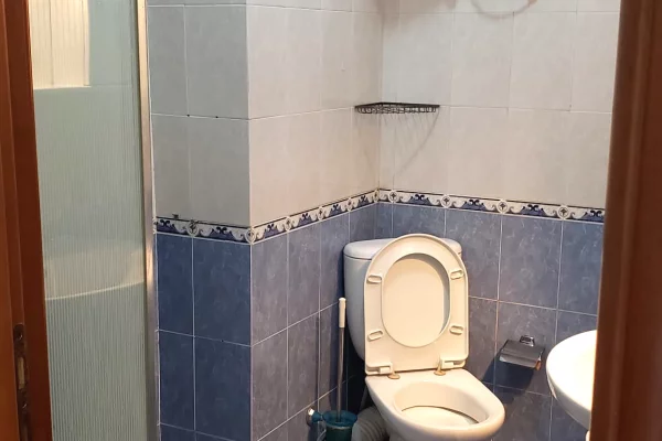 Shtepi me qera Apartament ne Tirane, 1+1, Mobilimi E mobiluar, Pagesa 65,000  Leke.