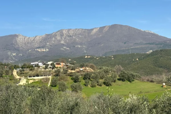 Land for Sale in Tirana - 50,000,000 Leke