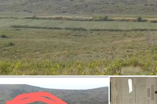 Land for Sale in Kavaja - 23,760,000 Leke