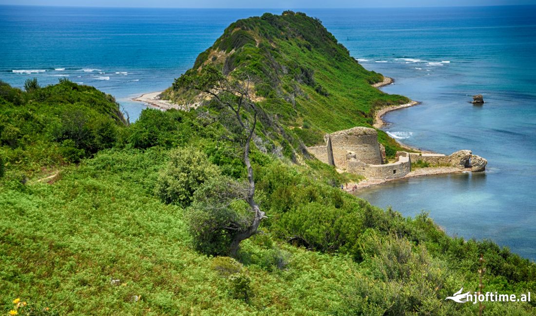 Okazion!! Shitet toke are tek Kepi i Rodonit! 