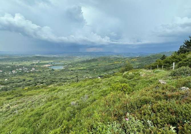 Truall ose Toke ne Vlore - 29,200 Euro