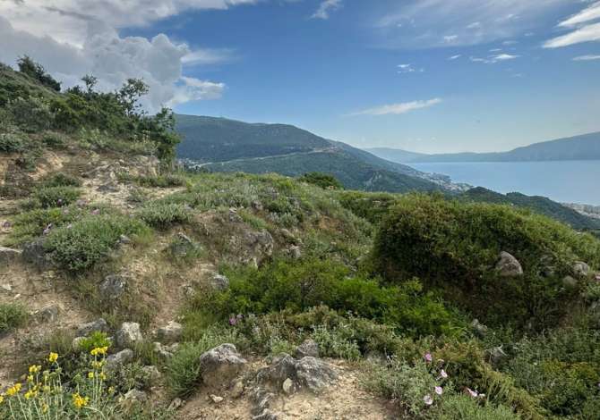 Truall ose Toke ne Vlore - 29,200 Euro