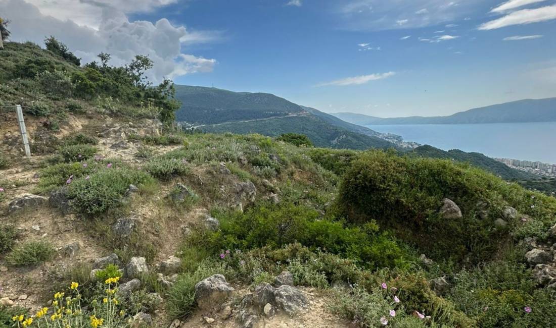 SHITET TOKE ULLISHTE NE KANINE ME PAMJE NGA DETI.