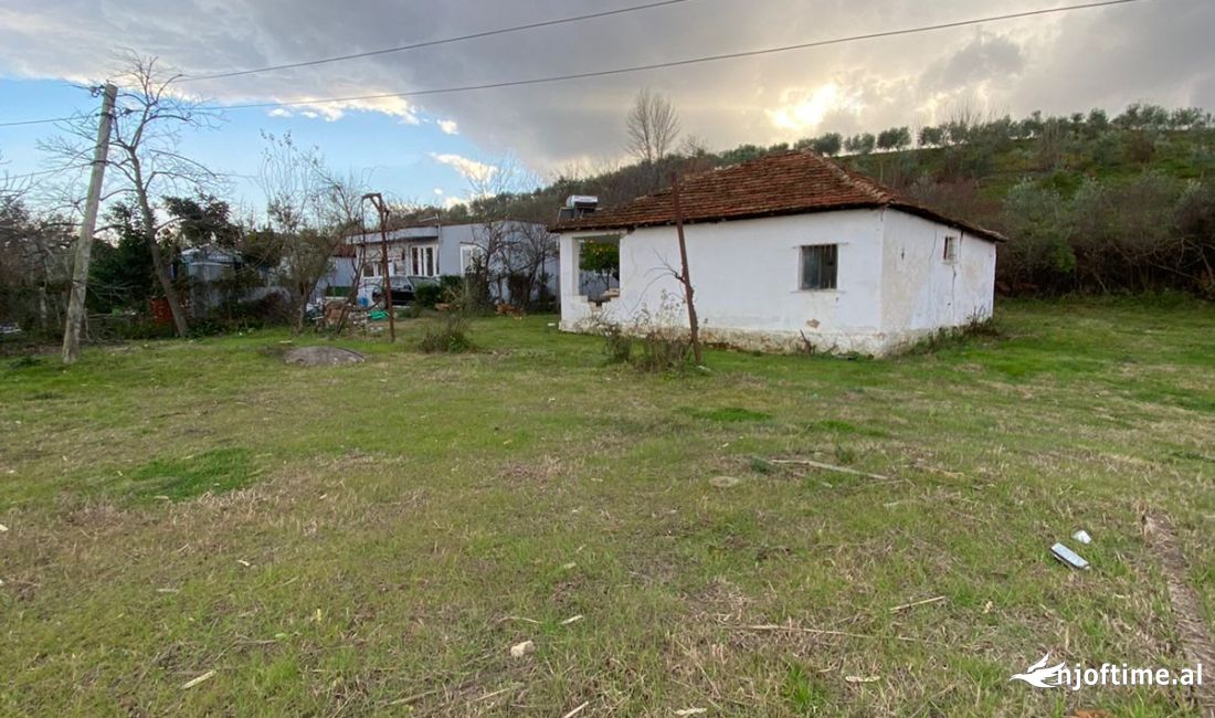 1500 m2 toke per qira ne yzberisht buze rruge