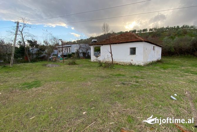 Ambiente Commerciale in Affitto 6+1 a Tirana - 500 Euro