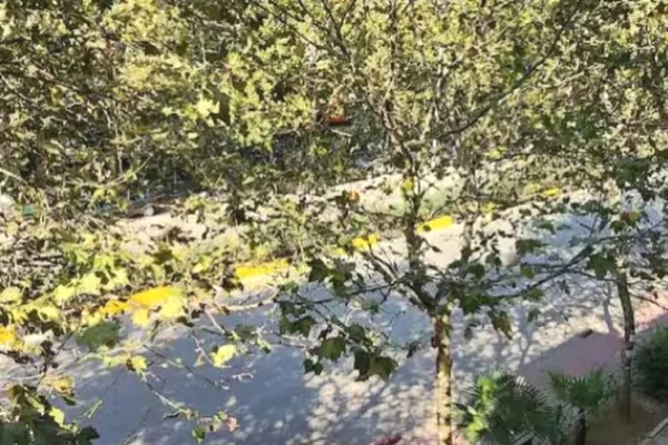 Apartment for rent in Tirana 2+1, Furnished