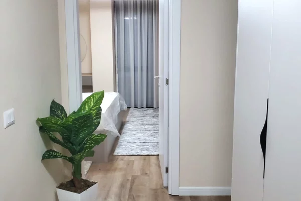 Apartment for rent in Tirana 1+1, Furnished