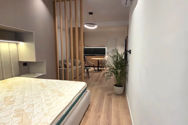 Shtepi me qera Apartament ne Tirane, Garsoniere, Mobilimi E mobiluar, Pagesa 500  Euro.