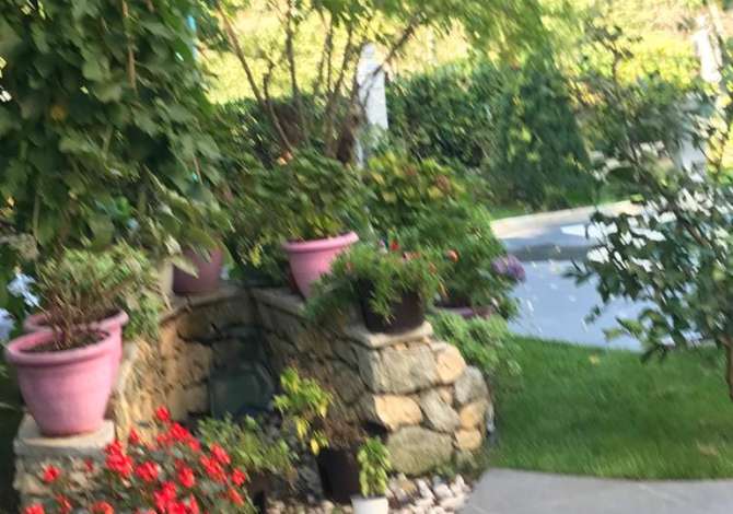 Kopshtar, Bacevan-Ofroj sherbime kopshtarie