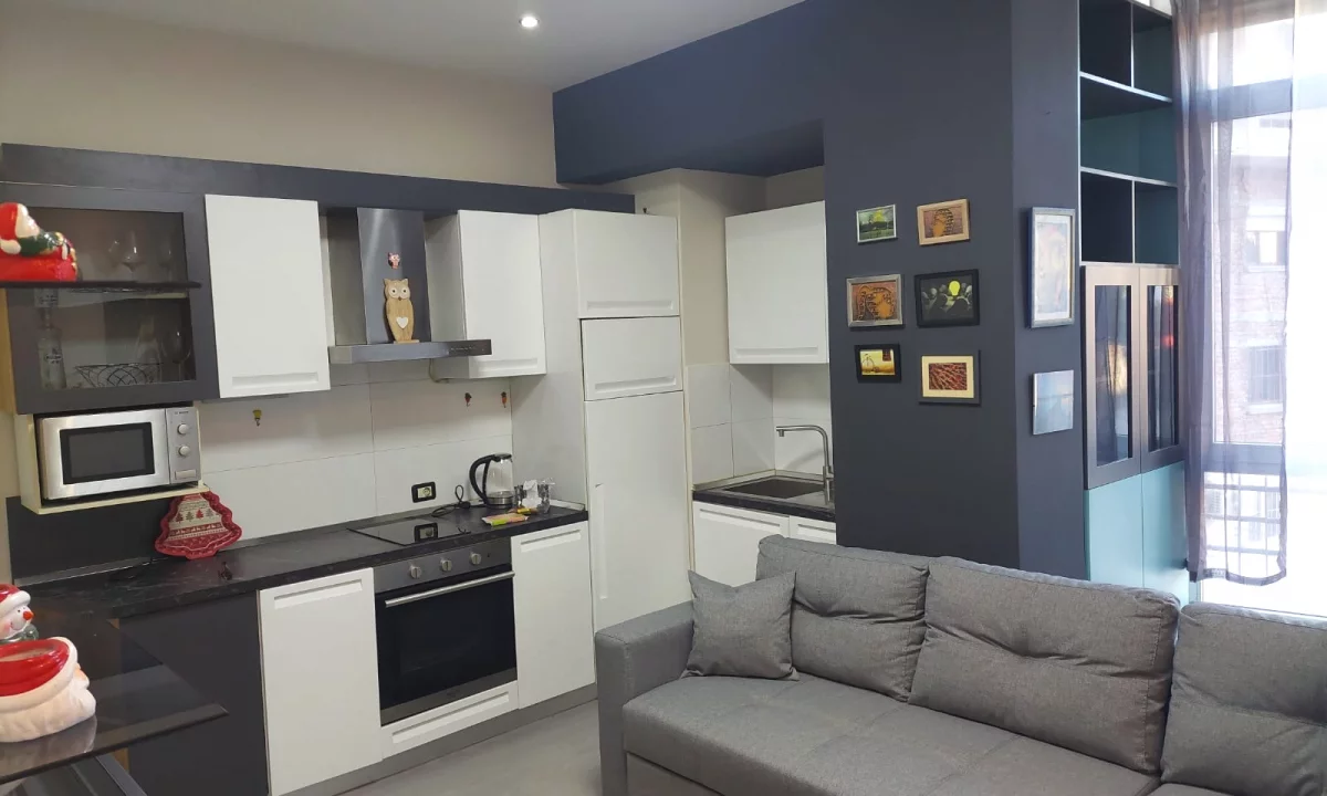 Shtepi me qera Apartament ne Tirane, 1+1, Mobilimi E mobiluar, Pagesa 600  Euro.