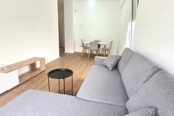 House for Rent 1+1 in Tirana - 350 Euro