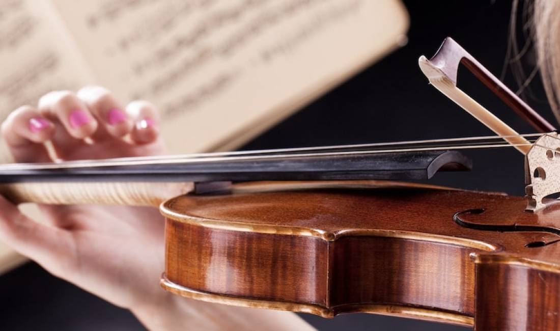 Kurse Profesionale Private Violine.