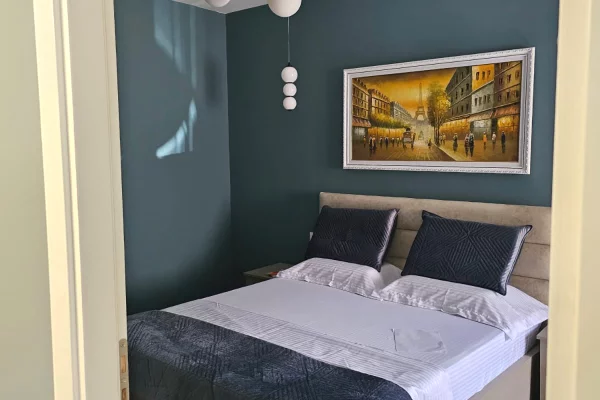 Shtepi me qera Apartament ne Tirane, 1+1, Mobilimi E mobiluar, Pagesa 600  Euro.