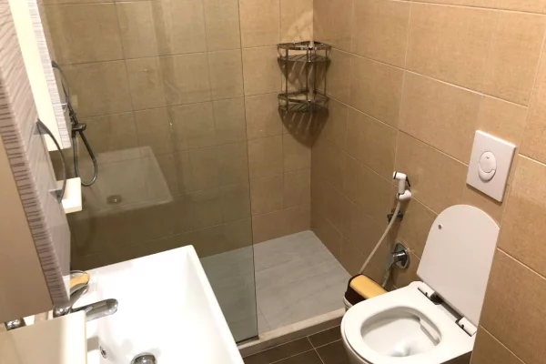 Shtepi me qera Apartament ne Tirane, 1+1, Mobilimi E mobiluar, Pagesa 550  Euro.