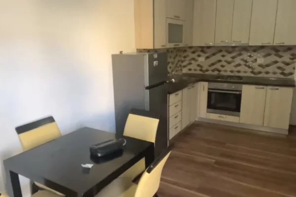 House for Rent 1+1 in Tirana - 50,000 Leke