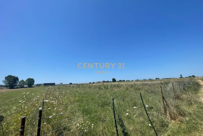 Truall ose Toke ne Tirane - 250,000 Euro