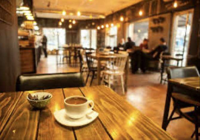 Job Offers for Barkeeper in Tirana