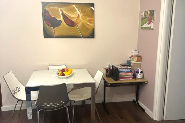 Shtepi me qera Apartament ne Tirane, 1+1, Mobilimi E mobiluar, Pagesa 649  Euro.