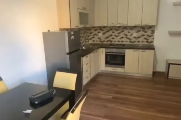 Shtepi me qera Apartament ne Tirane, 1+1, Mobilimi E mobiluar, Pagesa 500  Euro.