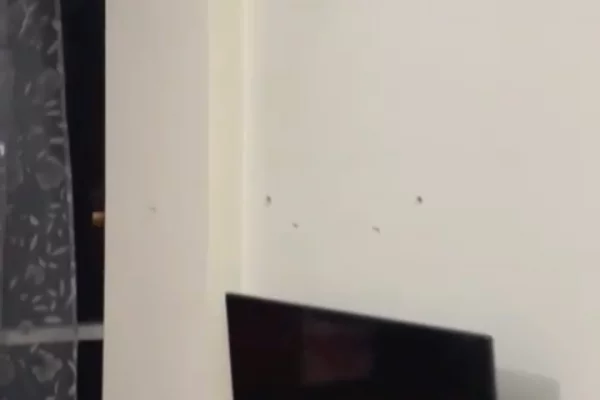 Shtepi me qera Apartament ne Tirane, 1+1, Mobilimi E mobiluar, Pagesa 400  Euro.