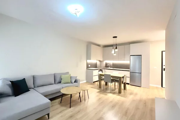 Shtepi me qera Apartament ne Tirane, 1+1, Mobilimi E mobiluar, Pagesa 700  Euro.
