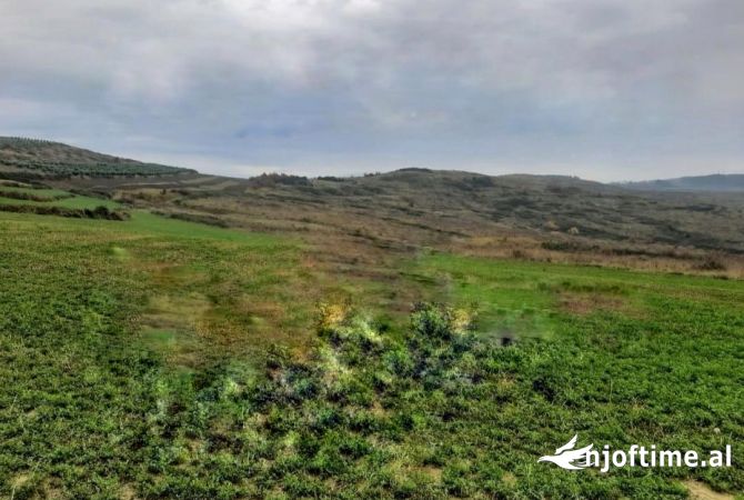 Truall ose Toke ne Tirane - 95,000 Euro