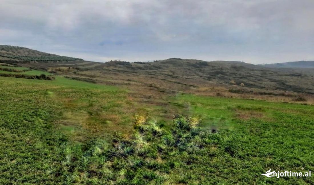 Toke per shitje ne Farke Ideale per ndertimin e nje vile private!