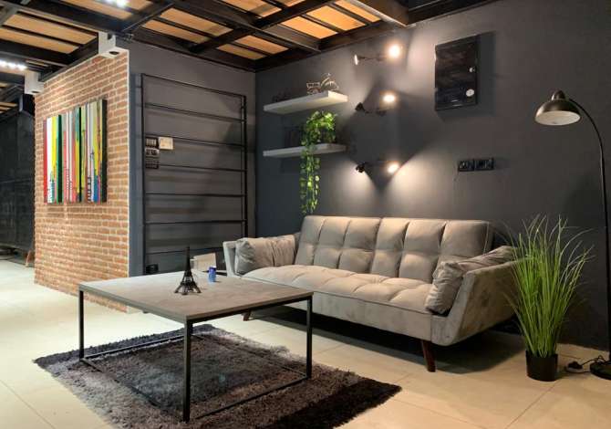 Ambient biznesi me qera 3+1 ne Tirane - 500 Euro