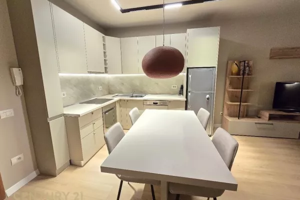 Shtepi me qera Apartament ne Tirane, 1+1, Mobilimi E mobiluar, Pagesa 750  Euro.