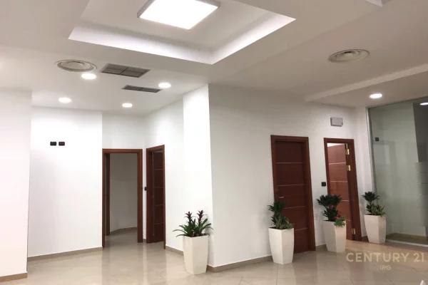 Jepet ambient zyrash tek Kullat Binjake!