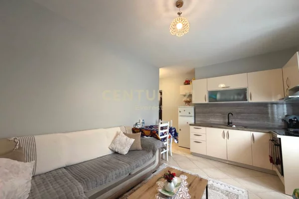 Shtepi ne shitje Apartament ne Tirane, 1+1, Mobilimi E mobiluar, Pagesa 98,000  Euro.