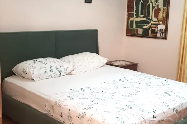 Shtepi me qera Apartament ne Tirane, 1+1, Mobilimi E mobiluar, Pagesa 500  Euro.